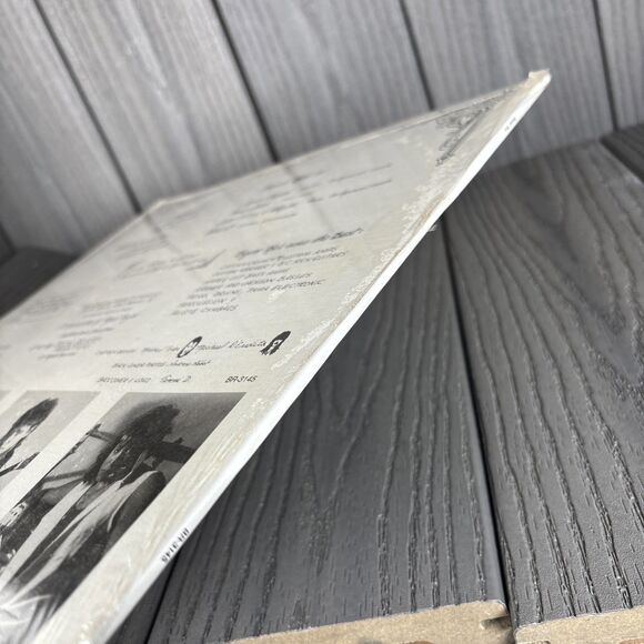 New Sealed Boyze Rok - Picture This Special Delivery Productions (88’ LP) BR3145 - Picture 3 of 5